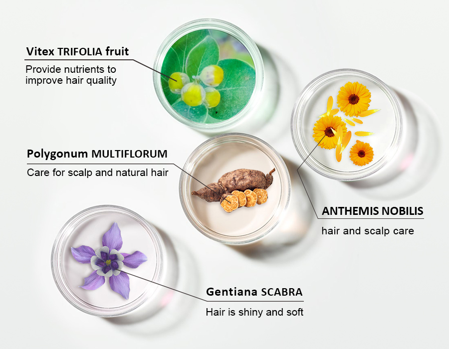 凈爽防油膩頭皮精華液—主圖（英文版）6