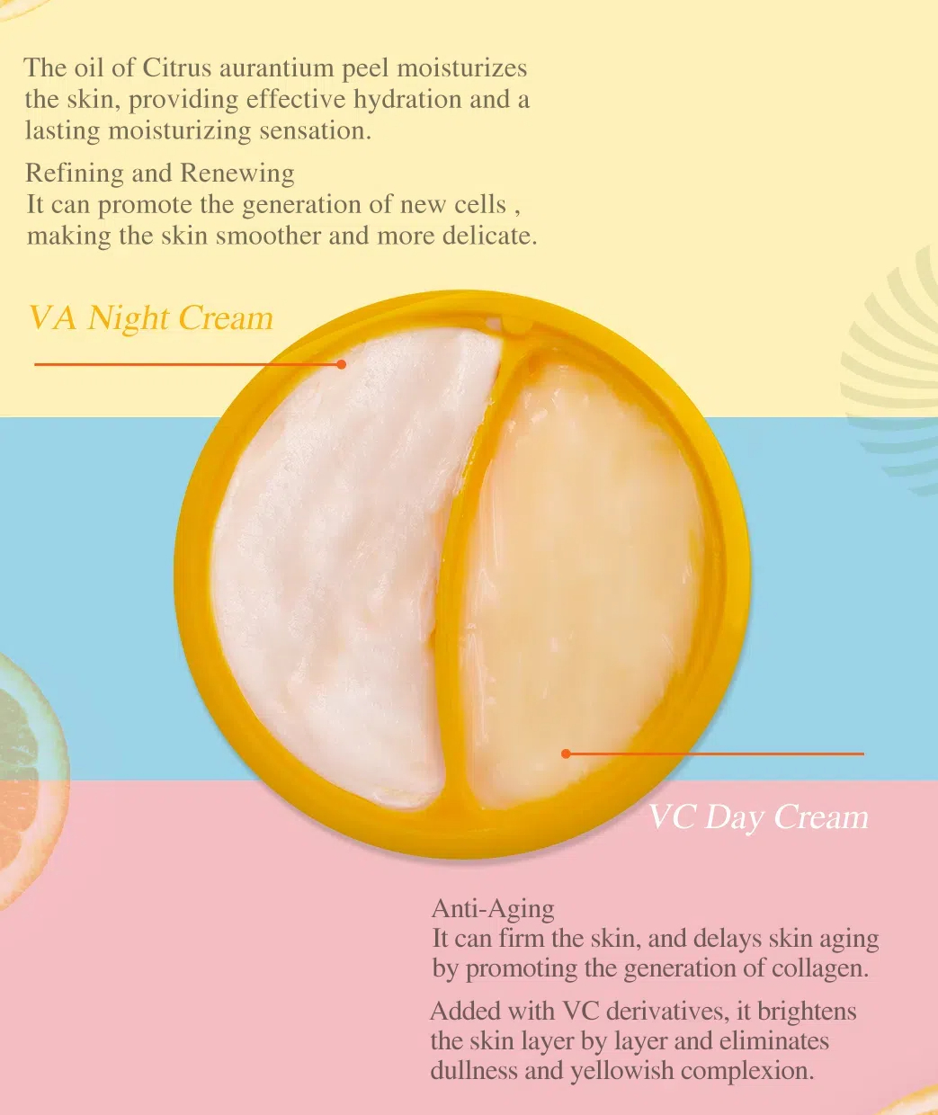 早晚霜詳情_05